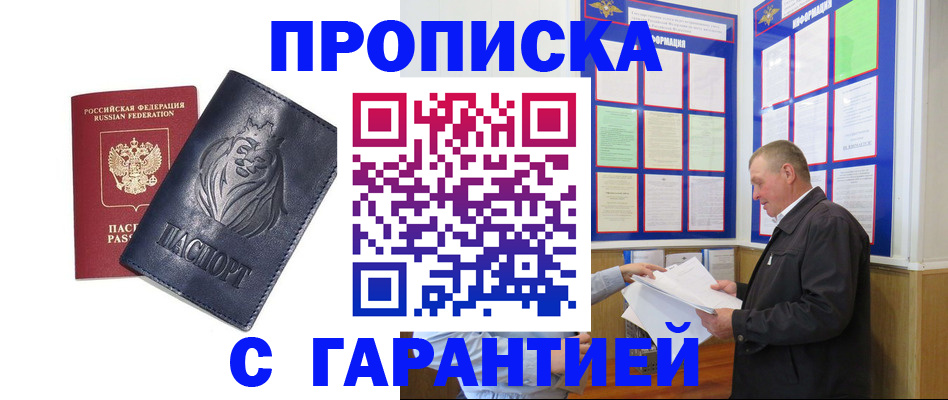 прописка поиск в Луге